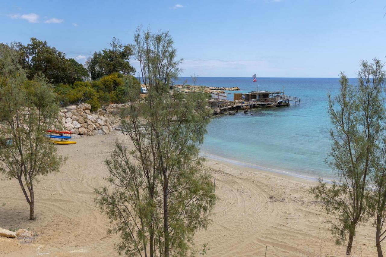 Protaras Nisia Seaside Villa エクステリア 写真
